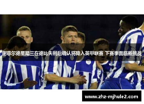 谢菲尔德星期三在德比失利后确认将降入英甲联赛 下赛季面临新挑战 谢菲尔德星期三在德比失利后确认将降入英甲联赛 下赛季面临新挑战